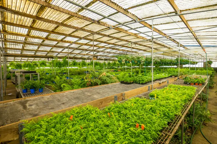 Fifth view of Homely rural property listing, 420 Bacchus Marsh Road, Bacchus Marsh VIC 3340