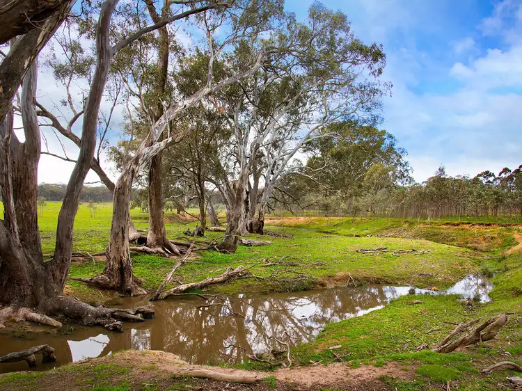 Main view of Homely land listing, 510 Talbot - Mt Cameron Road, Red Lion VIC 3371