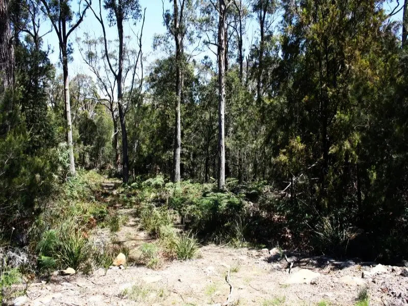 Main view of Homely land listing, LOT 17 Rubicon Rise, Northdown TAS 7307