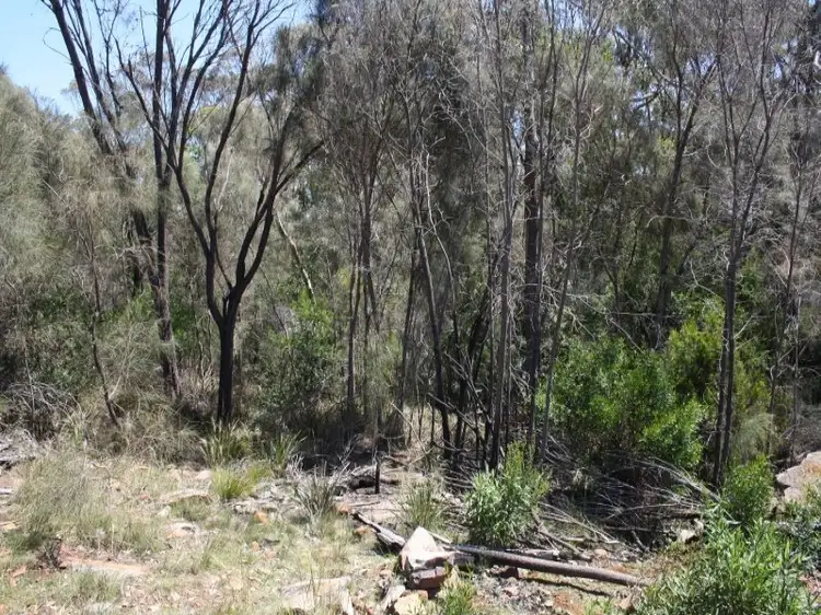 Main view of Homely land listing, LOT 20 Rubicon Rise, Northdown TAS 7307