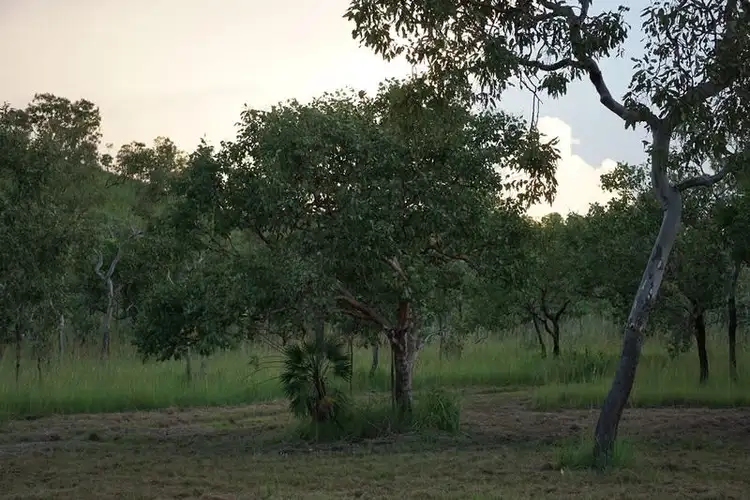 Second view of Homely rural property listing, 203 Dorat Road, Adelaide River NT 846