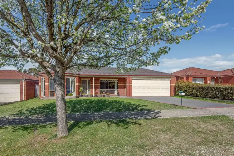 19 Ardenne Court, Narre Warren South VIC 3805