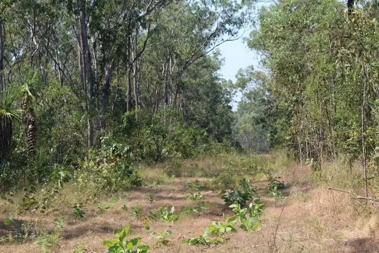 2919 Dundee Road, Dundee Downs NT 840