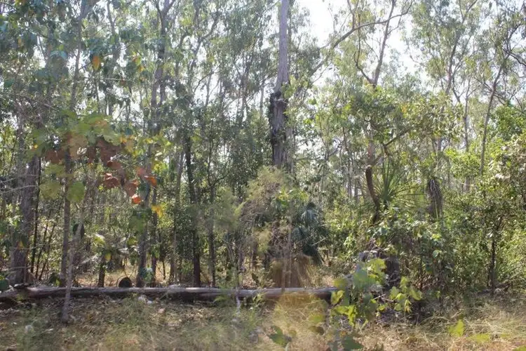 Sixth view of Homely rural property listing, 2919 Dundee Road, Dundee Downs NT 840