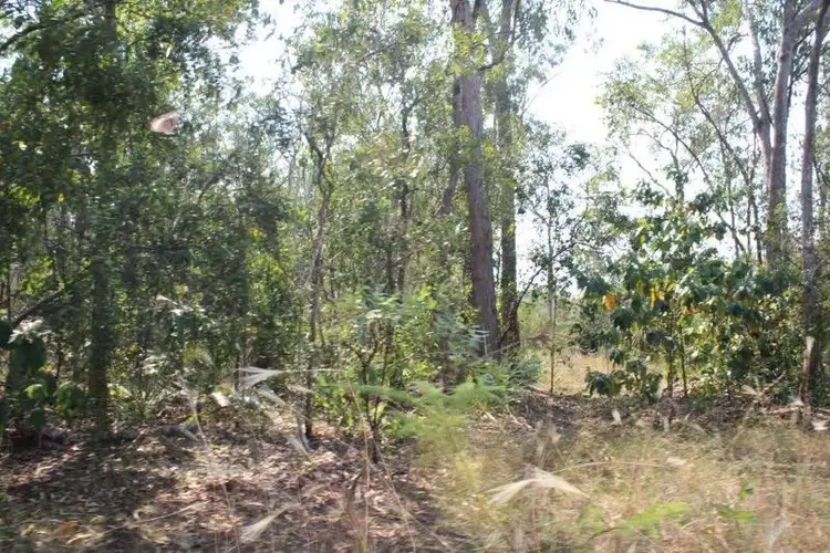 Seventh view of Homely rural property listing, 2919 Dundee Road, Dundee Downs NT 840