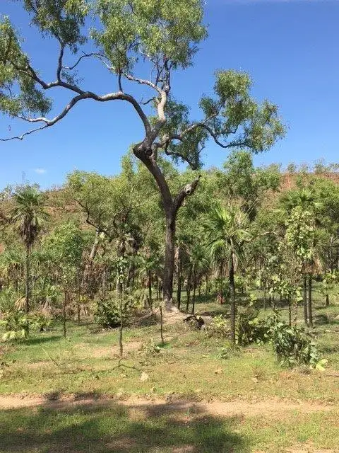 Third view of Homely rural property listing, 165 Wooliana Road, Daly River NT 822