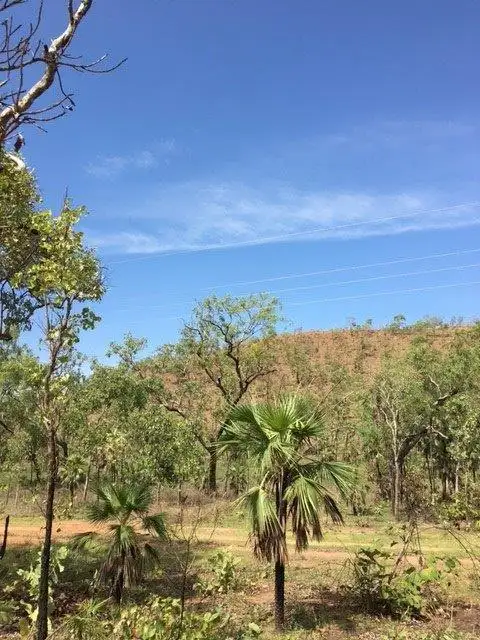 Fifth view of Homely rural property listing, 165 Wooliana Road, Daly River NT 822