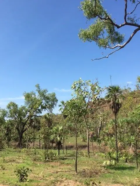 Seventh view of Homely rural property listing, 165 Wooliana Road, Daly River NT 822