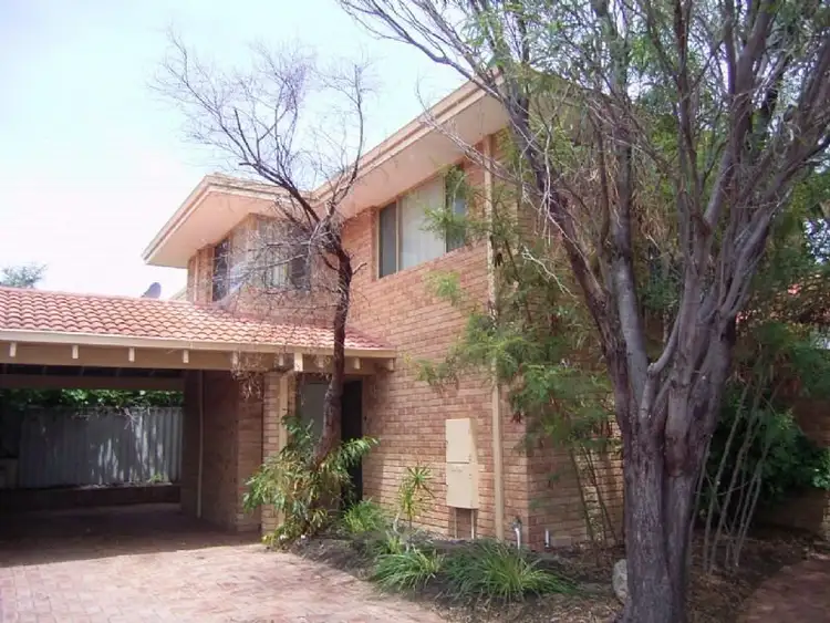 Main view of Homely townhouse listing, 4/31 Bower Street, Doubleview WA 6018