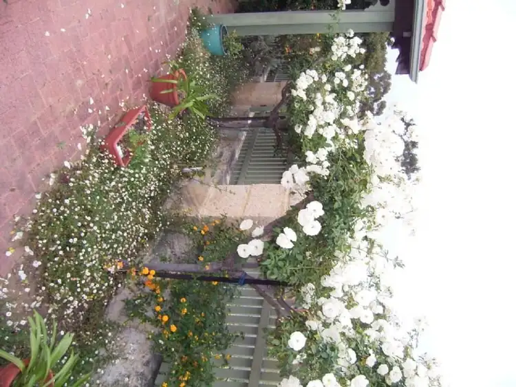 Second view of Homely house listing, 88 MCourt Street, West Leederville WA 6007