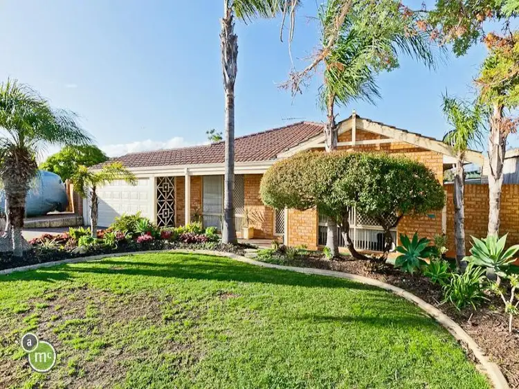 Second view of Homely house listing, 3 Danaher Mews, Clarkson WA 6030