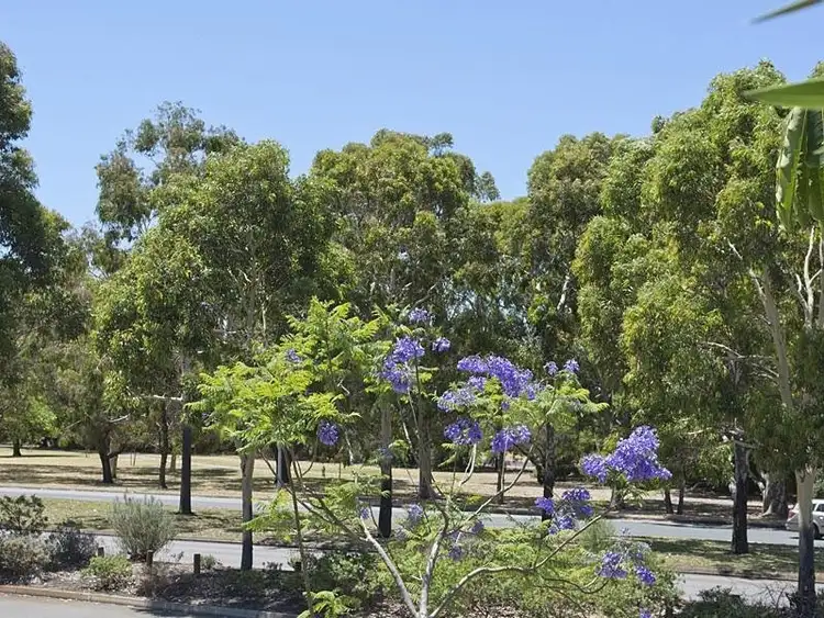 Main view of Homely house listing, 391 Vincent Street West, West Leederville WA 6007