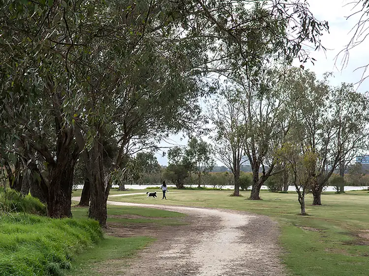 Main view of Homely unit listing, 96/99 Herdsman Parade, Wembley WA 6014