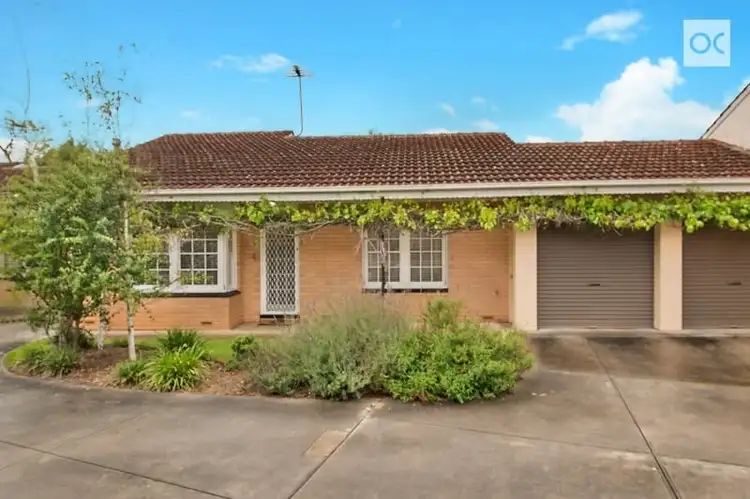 Main view of Homely unit listing, 3/427 Kensington Road, Rosslyn Park SA 5072