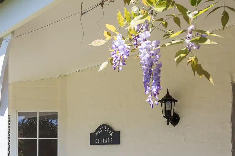 7 Joseph Place, Ormiston QLD 4160
