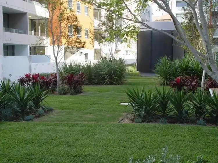 Seventh view of Homely apartment listing, 909/1 Bruce Bennett Place, Maroubra NSW 2035