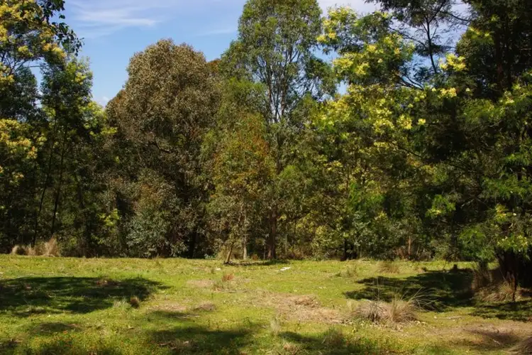 Sixth view of Homely rural property listing, LOT 1 County Boundary Road, Cobargo NSW 2550