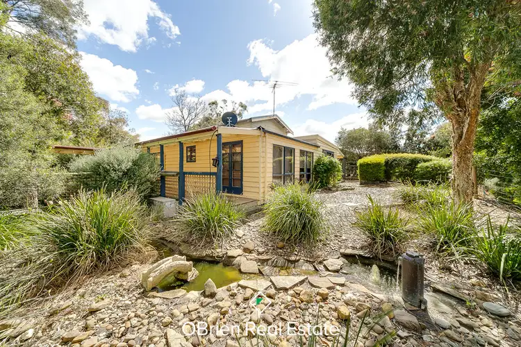 Main view of Homely house listing, 11 Elimatta Street, Warneet VIC 3980