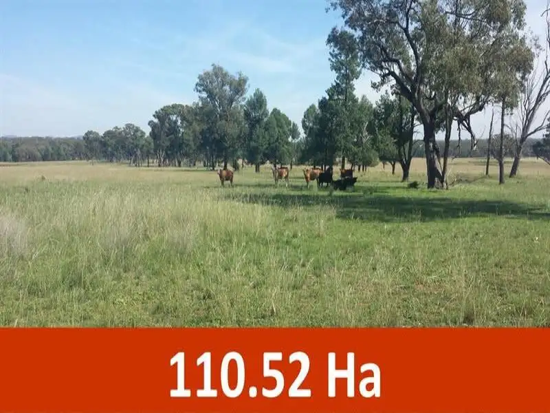Main view of Homely rural property listing, 39R Ten Mile Lane, Dubbo NSW 2830