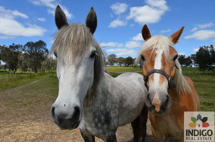Third view of Homely rural property listing, 37 Monshing Lane, Tarrawingee VIC 3678