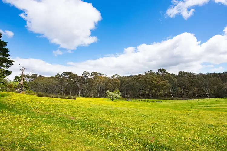 South Parade, Fryerstown VIC 3451