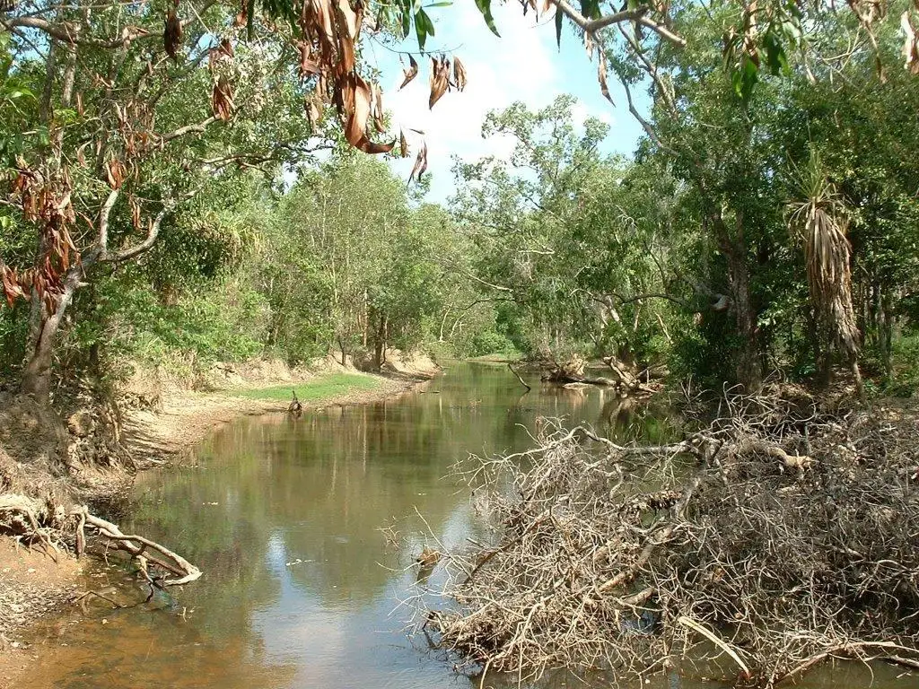 Main view of Homely rural property listing, Level 13, LOT 13, 295 Wright Road, Marrakai NT 822