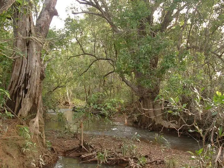 Second view of Homely rural property listing, Level 13, LOT 13, 295 Wright Road, Marrakai NT 822
