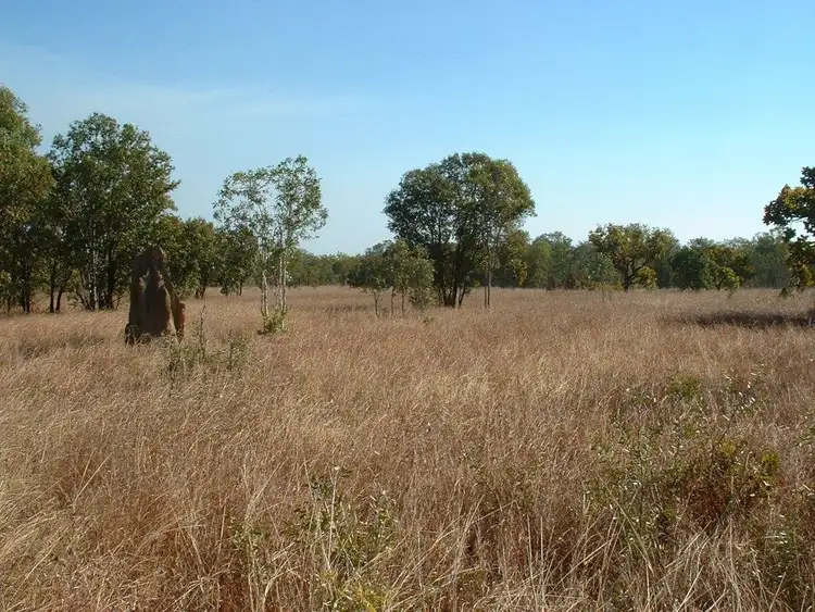 Third view of Homely rural property listing, Level 13, LOT 13, 295 Wright Road, Marrakai NT 822
