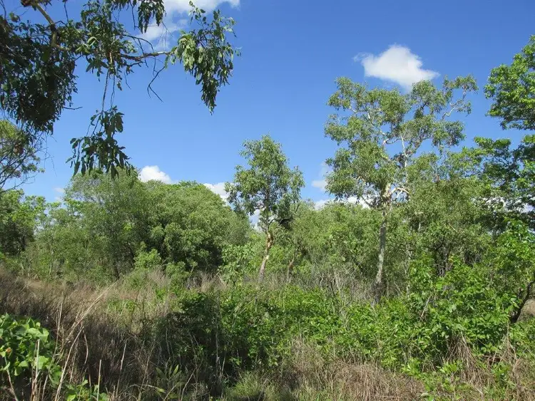 Fifth view of Homely rural property listing, Level 13, LOT 13, 295 Wright Road, Marrakai NT 822