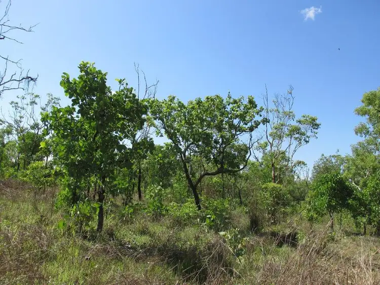 Sixth view of Homely rural property listing, Level 13, LOT 13, 295 Wright Road, Marrakai NT 822