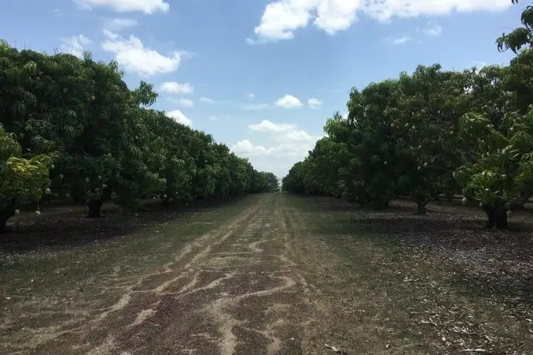 Sixth view of Homely rural property listing, 65 Stephen Road, Marrakai NT 822