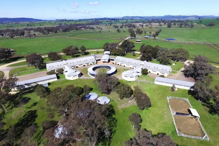 Seventh view of Homely rural property listing, Dirnaseer Road, Cootamundra NSW 2590