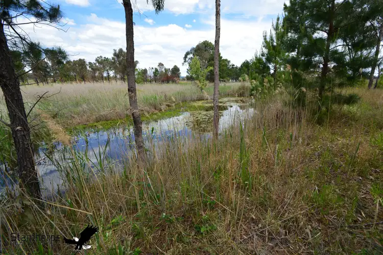 Seventh view of Homely house listing, 63 Caslick Lane, Broadwater QLD 4380
