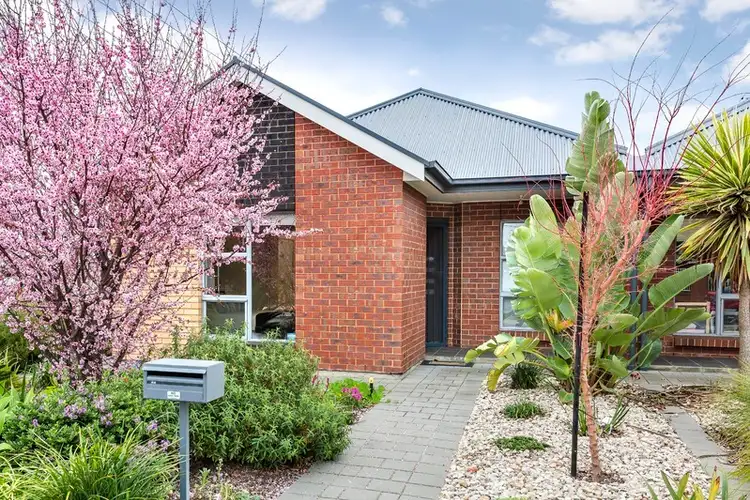 41a Flinders Street, Edwardstown SA 5039