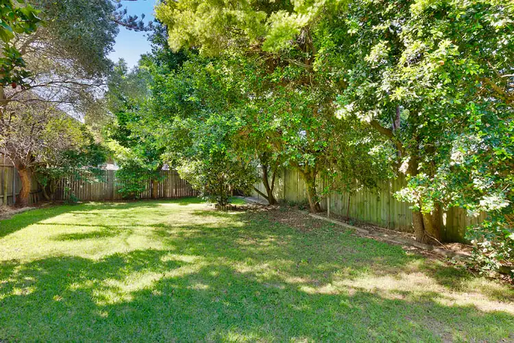 35 Wilson Street, Freshwater NSW 2096