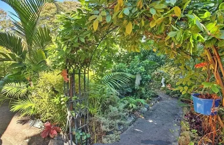 Seventh view of Homely house listing, 146 Ewing Road, Woodridge QLD 4114