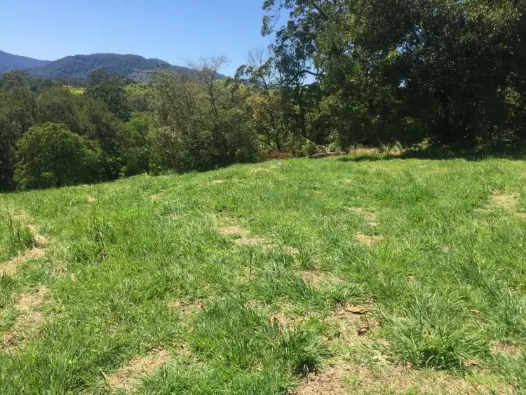 Fifth view of Homely land listing, 19/78 Cecil Street, Nimbin NSW 2480