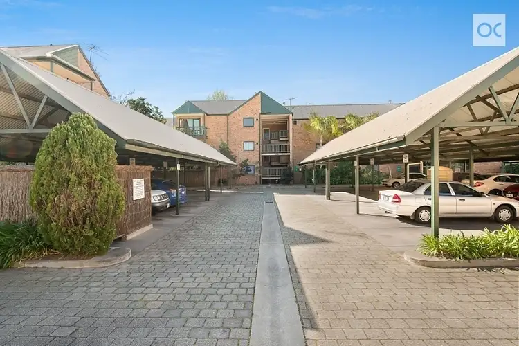 6/388 Carrington Street, Adelaide SA 5000