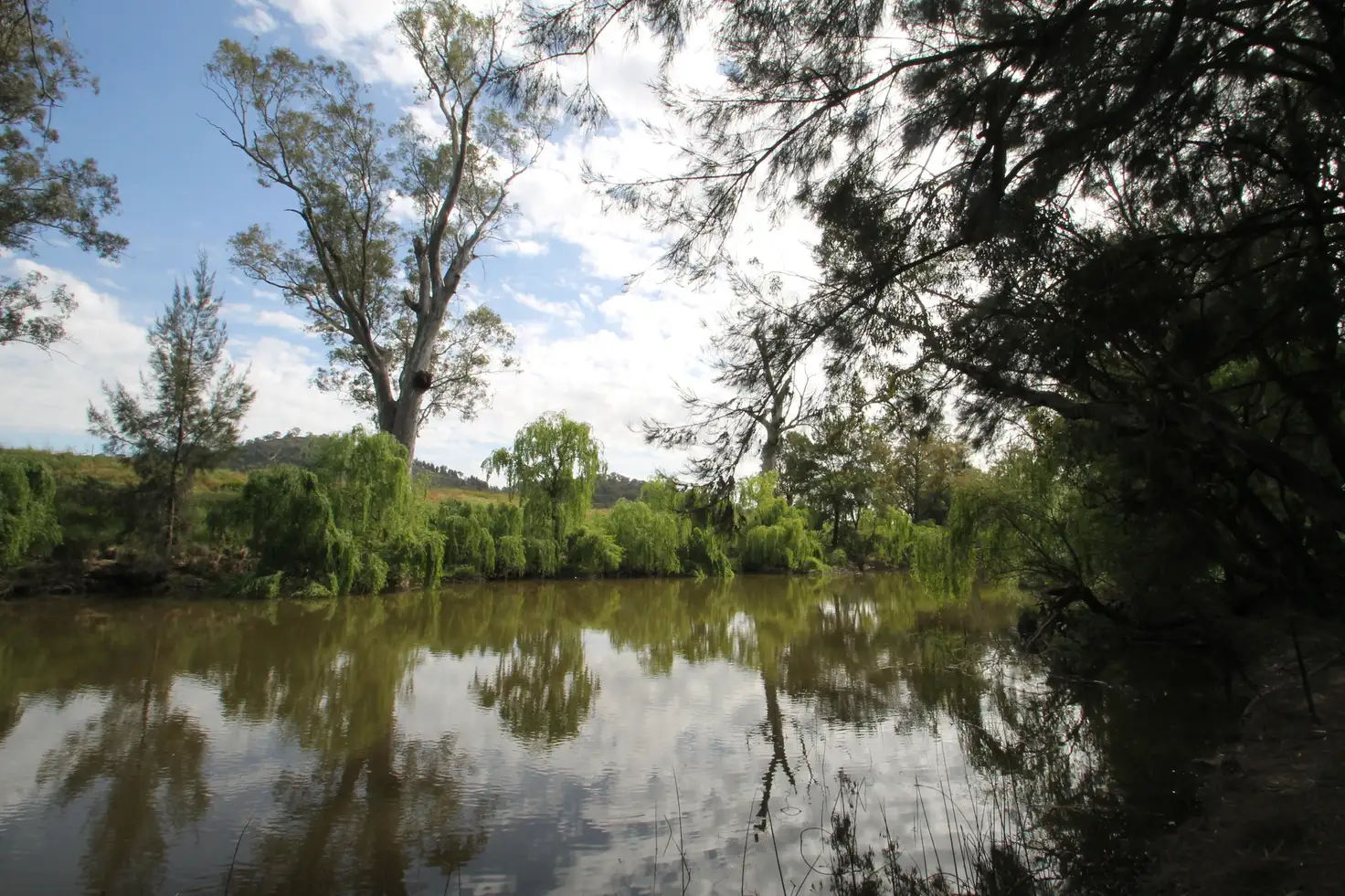 Main view of Homely rural property listing, 202 Gardiners Road, Mudgee NSW 2850