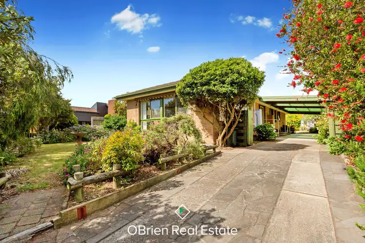 16 Pamela Place, Mornington VIC 3931