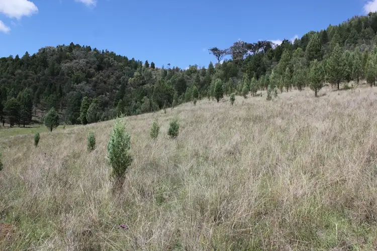 Seventh view of Homely rural property listing, 28 Rockford Lane, Mudgee NSW 2850