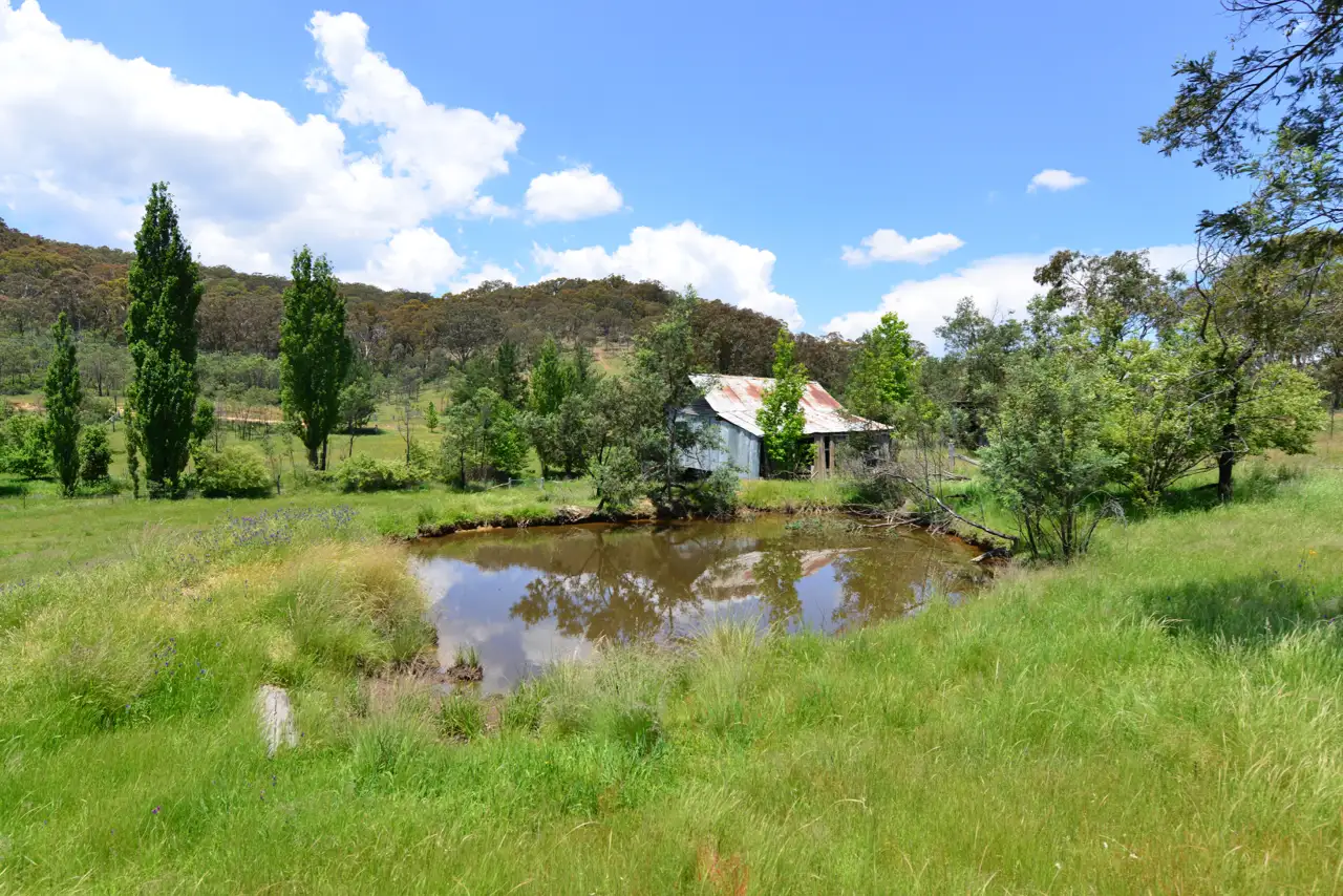 Main view of Homely rural property listing, 772 Green Gully Road, Mudgee NSW 2850
