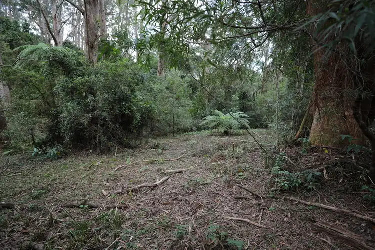 Second view of Homely land listing, 14 Canyon Parade, Springbrook QLD 4213