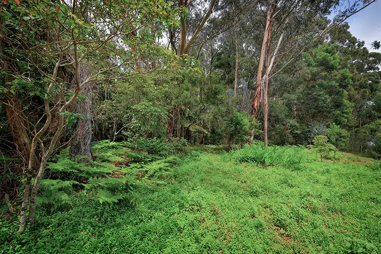 Sixth view of Homely land listing, 14 Canyon Parade, Springbrook QLD 4213