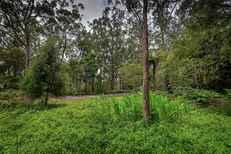 Seventh view of Homely land listing, 14 Canyon Parade, Springbrook QLD 4213