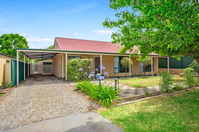 Main view of Homely house listing, 12 Butterworth Place, Wodonga VIC 3690