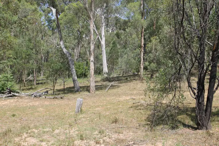 Fifth view of Homely rural property listing, 977 Upper Botobolar Road, Mudgee NSW 2850