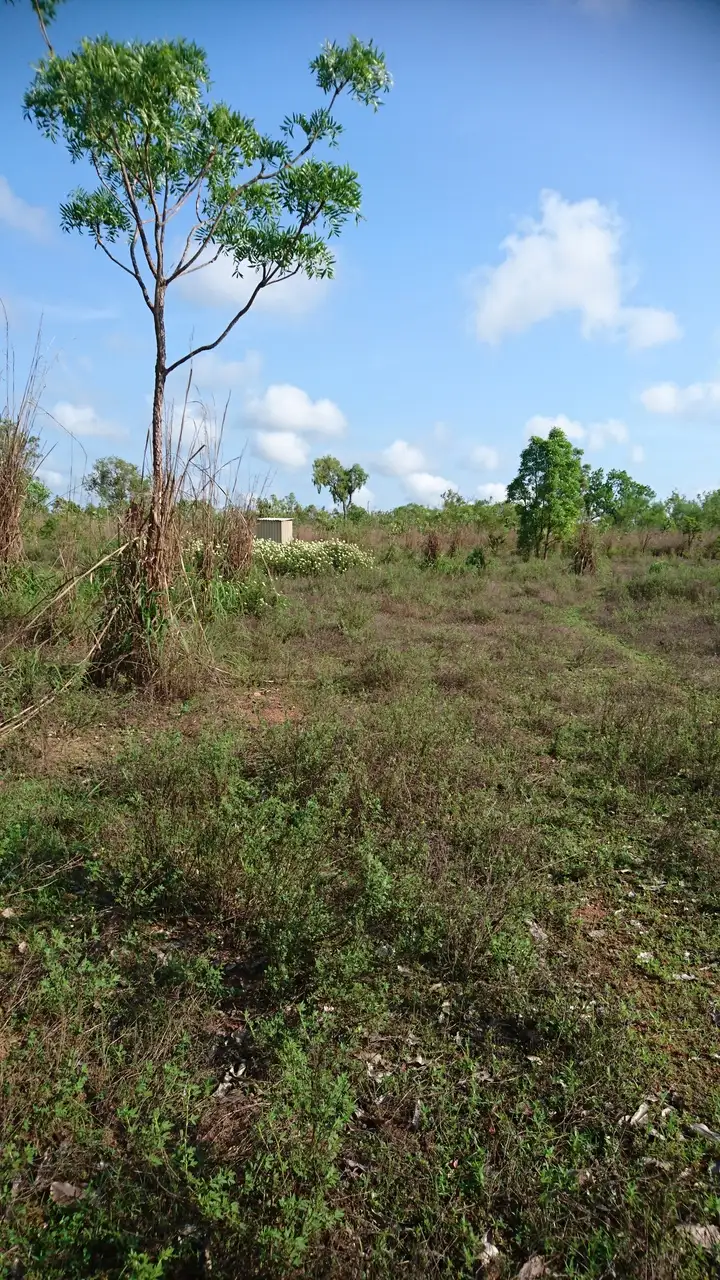 Fifth view of Homely rural property listing, Address available on request