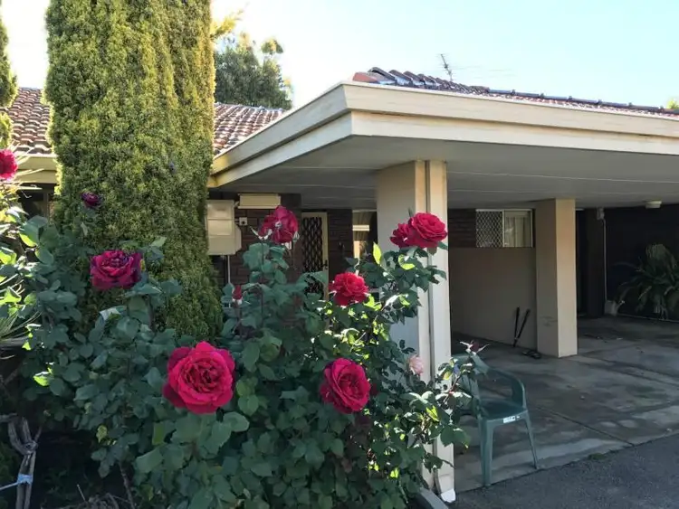 Main view of Homely house listing, 11/45 Dryden Street, Yokine WA 6060