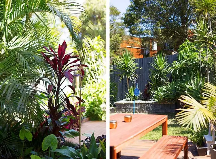 Fifth view of Homely house listing, 5 May Road, Dee Why NSW 2099